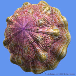 Limpet